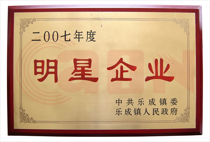 乐清市明星企业